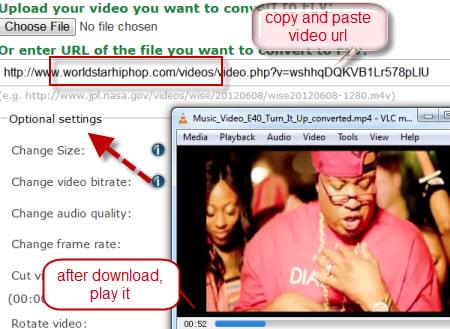 Open this site, choose the output format from the Video Converter tab, copy and paste the video URL, fill in the Optional setting and click Convert file.