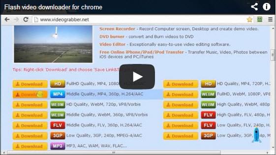 flash video downloader 4k chrome